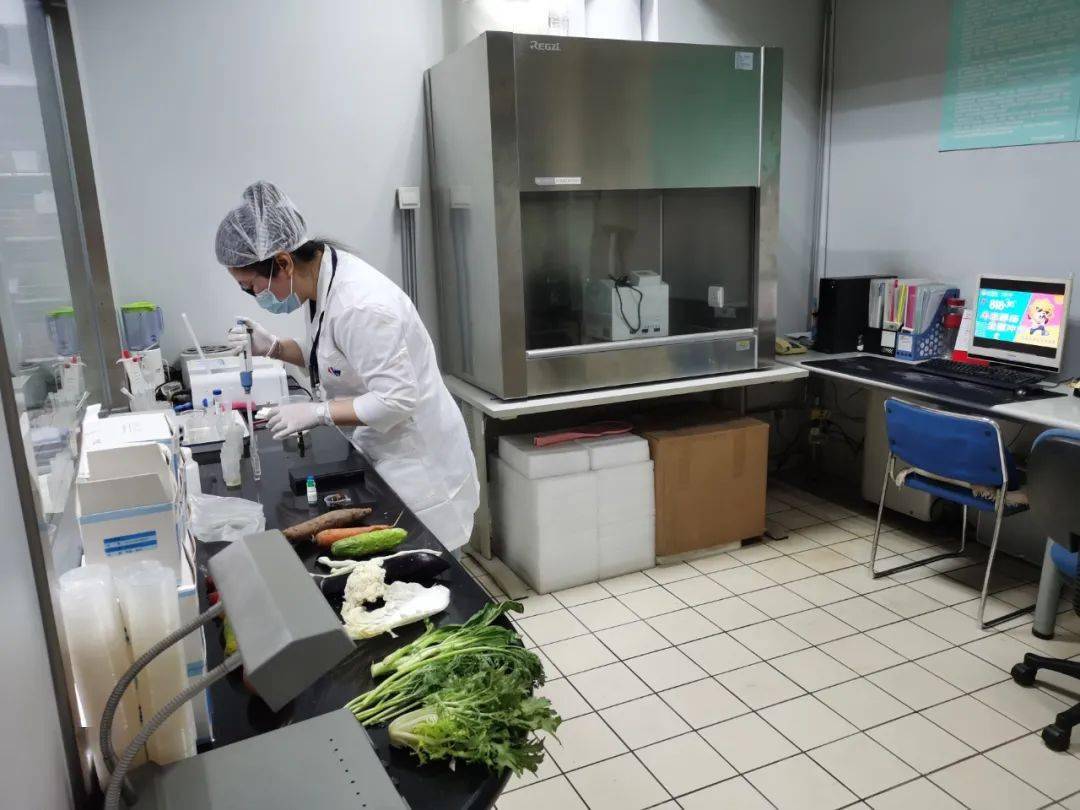 麻章食品检测实验室装修方案